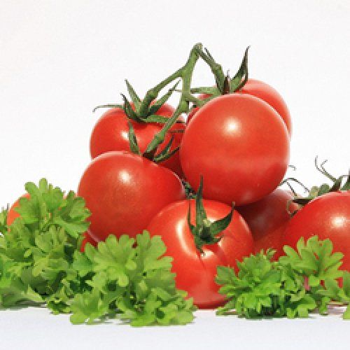 Restaurace Coolna Svitavy - Čerstvá rajčata